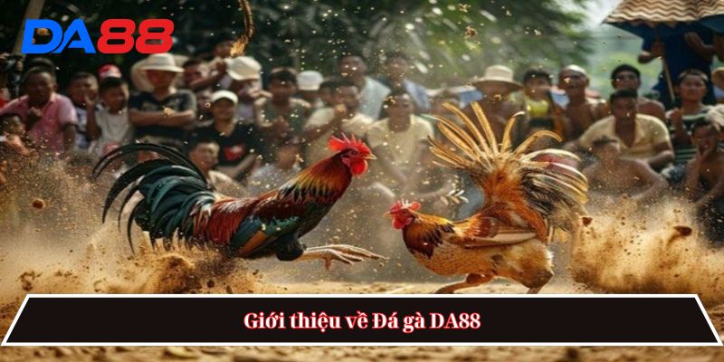 Đá gà DA88
